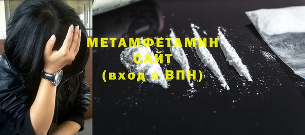 мет Алексин