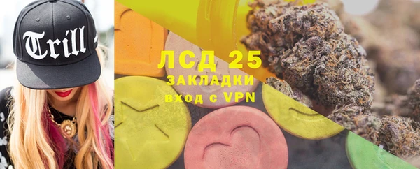 мет Алексин